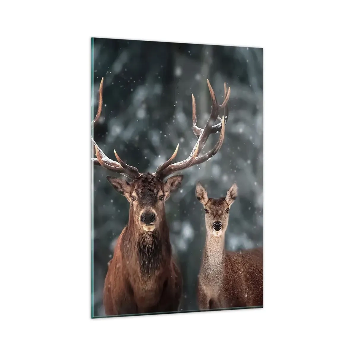 Obraz na szkle - Jelenie w zimowym lesie pokrytym śniegiem - 80x120cm - Pan lasu z małżonką - Nowoczesna dekoracja ścienna do salonu i sypialni ARTTOR