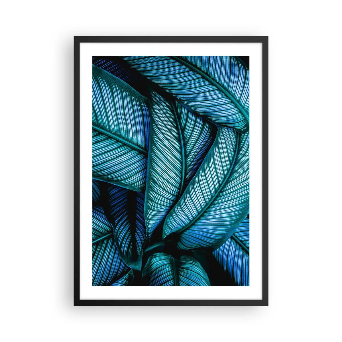 Plakat w czarnej ramie - Hipnotyzujące, niebiesko-zielone liście bananowca - 50x70cm - Linie życia - Nowoczesna dekoracja ścienna do salonu i sypialni ARTTOR