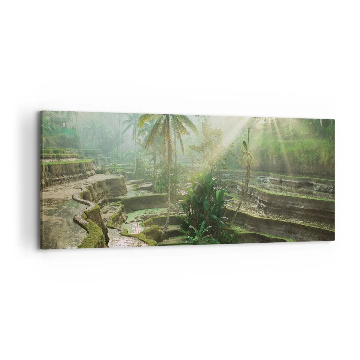 Obraz na płótnie - Tarasy ryżowe z palmami w promieniach słońca - 120x50cm - Dorastać w słońcu - Nowoczesna dekoracja ścienna do salonu i sypialni ARTTOR