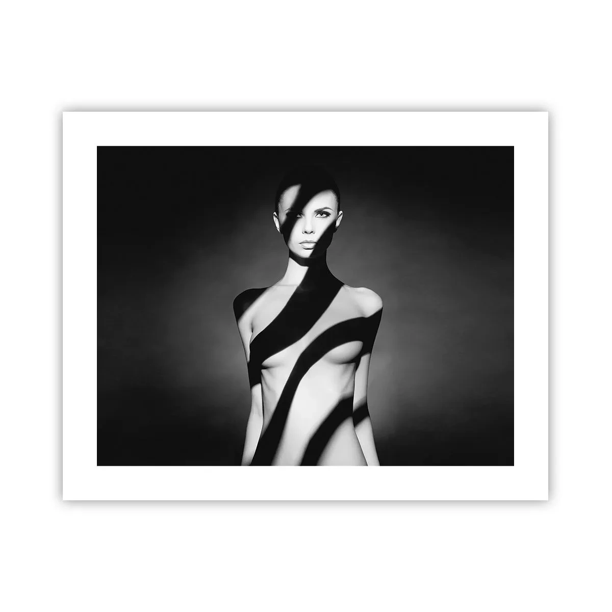 Plakat - W blasku i w cieniu - 50x40 cm