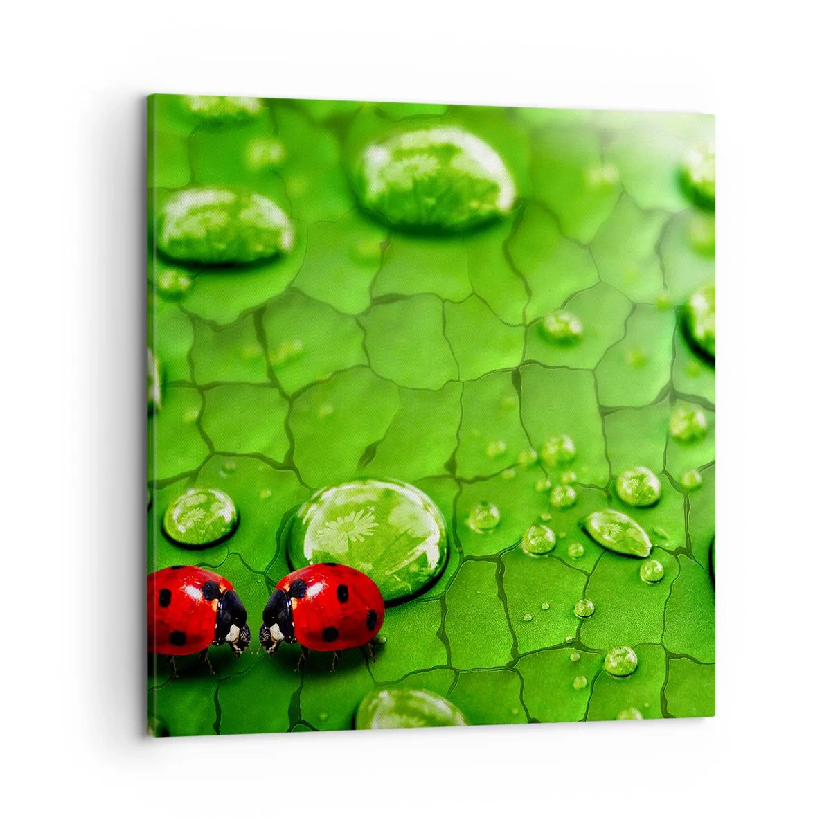 Obraz na płótnie - Spotkanie w zieleni - 50x50 cm