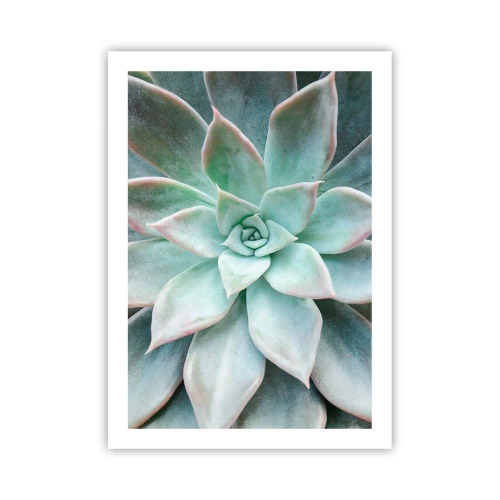 Plakat - Zbliżenie na symetryczne liście sukulenta w odcieniach zieleni - 50x70cm - Serce pustyni - Nowoczesna dekoracja ścienna do salonu, kuchni i sypialni ARTTOR