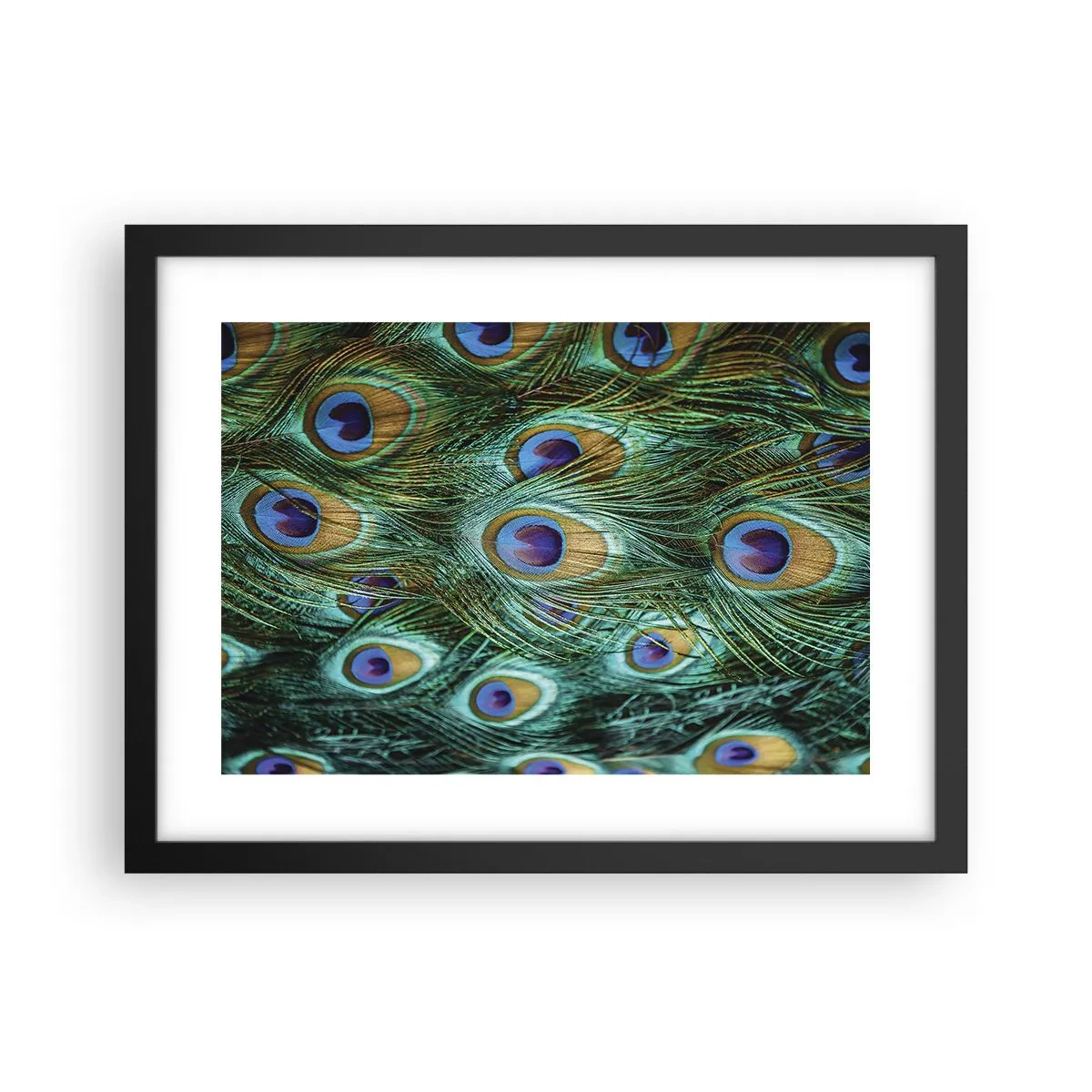 Plakat w czarnej ramie - Pawiookie spojrzenie - 40x30 cm