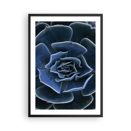 Plakat w czarnej ramie - Artystyczne zbliżenie na geometryczny wzór sukulentu - 50x70cm - Kwiat pustyni - Nowoczesna dekoracja ścienna do salonu i sypialni ARTTOR