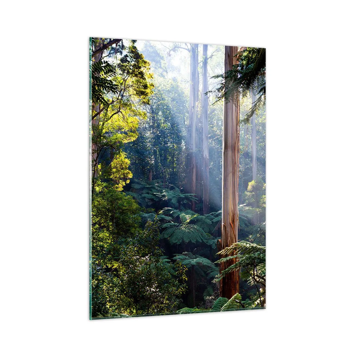 Obraz na szkle - Zielony tropikalny las z promieniami słońca - 50x70cm - Baśń lasu - Nowoczesna dekoracja ścienna do salonu, kuchni i sypialni ARTTOR