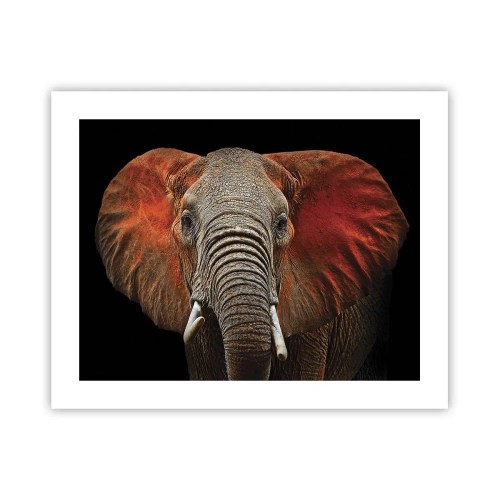 Plakat - Jestem dziki, a ty? - 50x40 cm