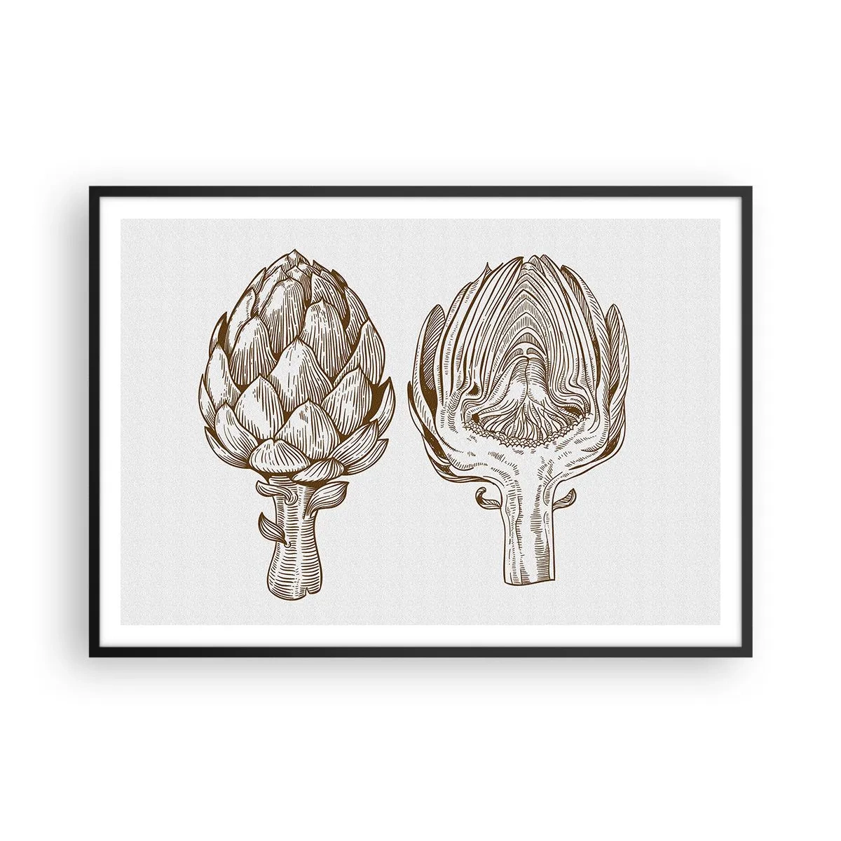 Plakat w czarnej ramie - Rysunek artystyczny karczocha w stylu vintage - 100x70cm - Lekcja anatomii - Nowoczesna dekoracja ścienna do salonu i sypialni ARTTOR