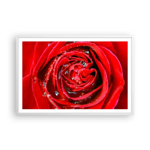 Plakat w białej ramie - W kroplach rosy - 91x61 cm