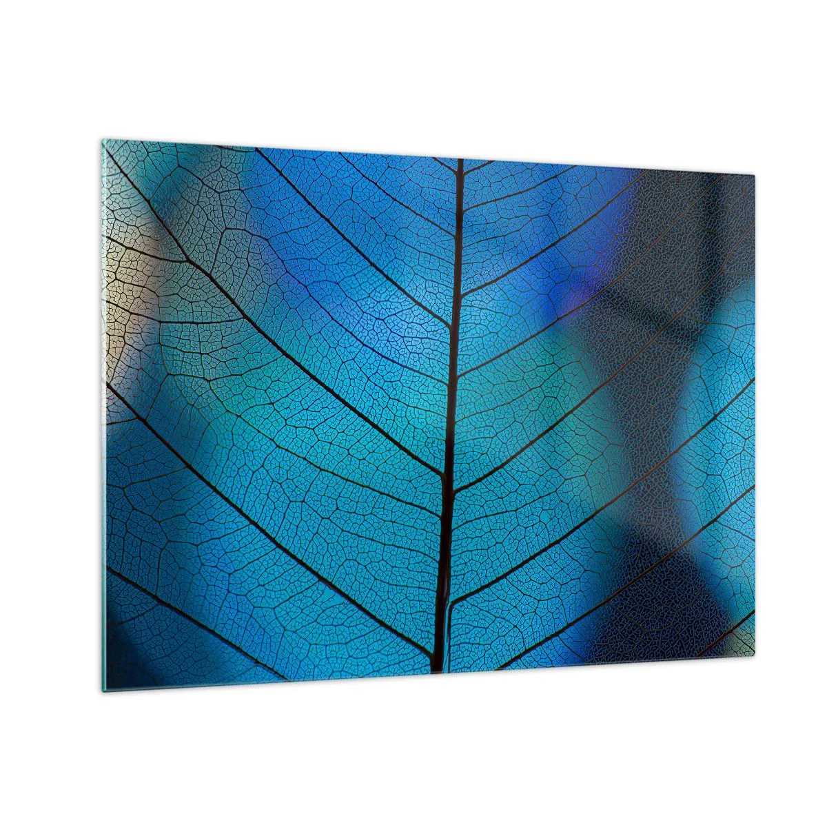Obraz na szkle - Zbliżenie błękitnego liścia z widoczną strukturą żyłek - 70x50cm - Misterna budowa - Nowoczesna dekoracja ścienna do salonu i sypialni ARTTOR