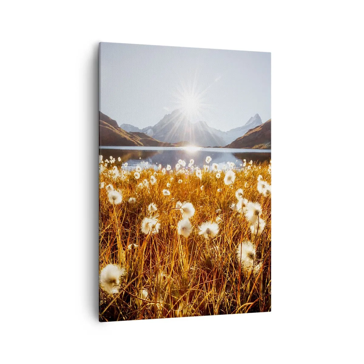 Obraz na płótnie - Pole bawełnianych traw na tle gór i jeziora w promieniach słońca - 70x100cm - Twardość skał, miękkość traw - Nowoczesna dekoracja ścienna do salonu i sypialni ARTTOR