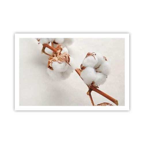 Plakat - Tylko tulić - 91x61 cm