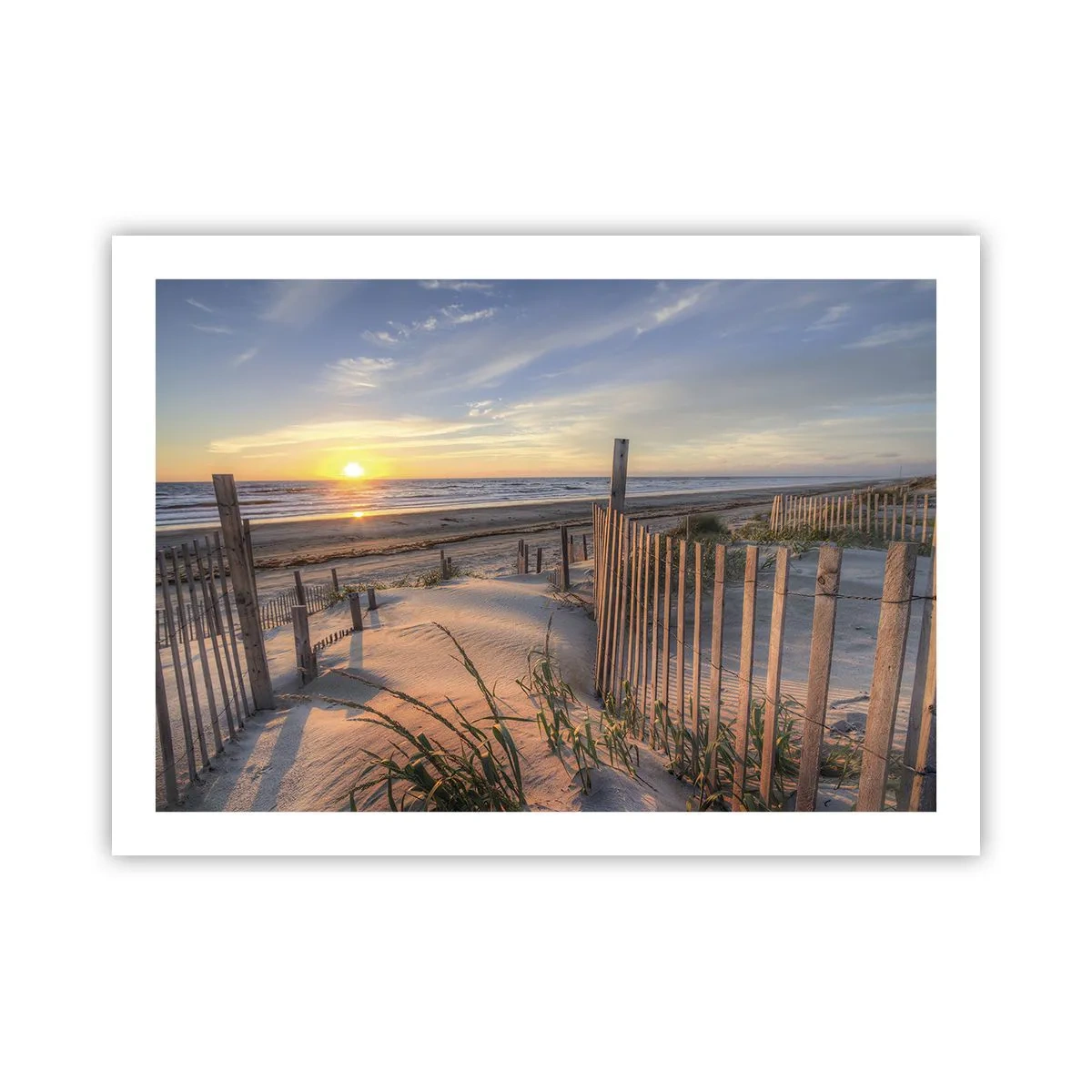 Plakat - Blask i cień wiatru - 70x50 cm