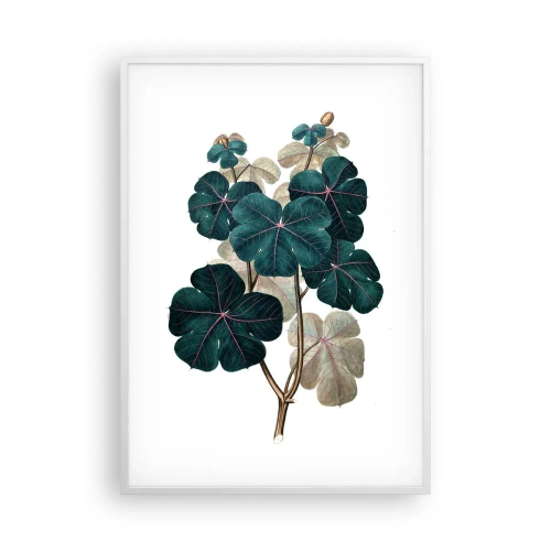 Plakat w białej ramie - Ze starego zielnika - 70x100 cm