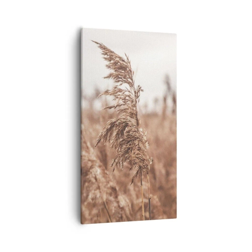 Obraz na płótnie - Na polach już jesień - 55x100 cm