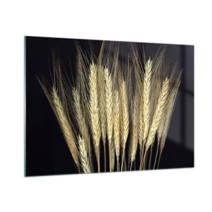 Obraz na szkle - Zboże w ciepłych tonacjach na czarnym tle - 100x70cm - Rustykalna magia - Nowoczesna dekoracja ścienna do salonu, kuchni i sypialni ARTTOR