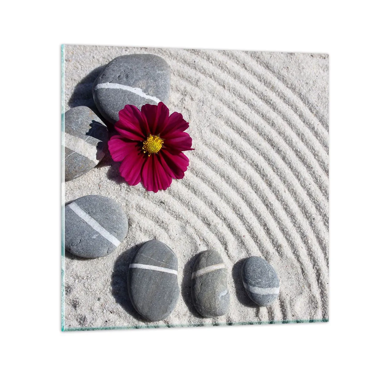 Obraz na szkle - Energia i spokój magicznego kręgu natury - 40x40 cm