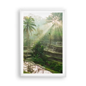 Plakat w białej ramie - Dorastać w słońcu - 61x91 cm