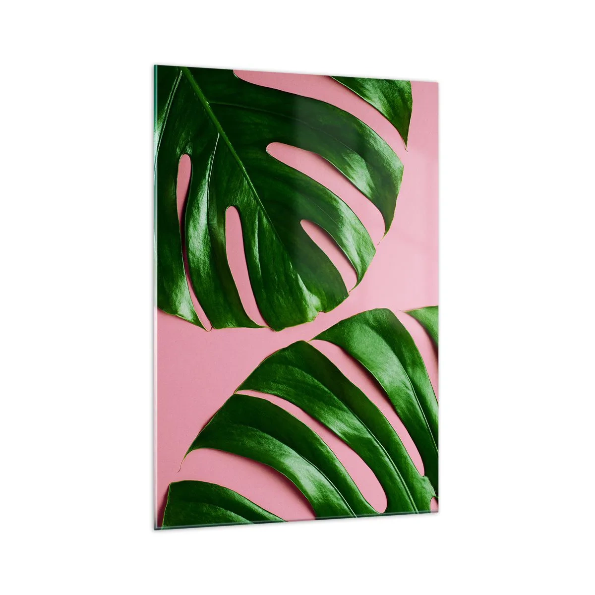 Obraz na szkle - Zielone liście monstery na różowym tle - 70x100cm - Zielone rendez-vous - Nowoczesna dekoracja ścienna do salonu i sypialni ARTTOR