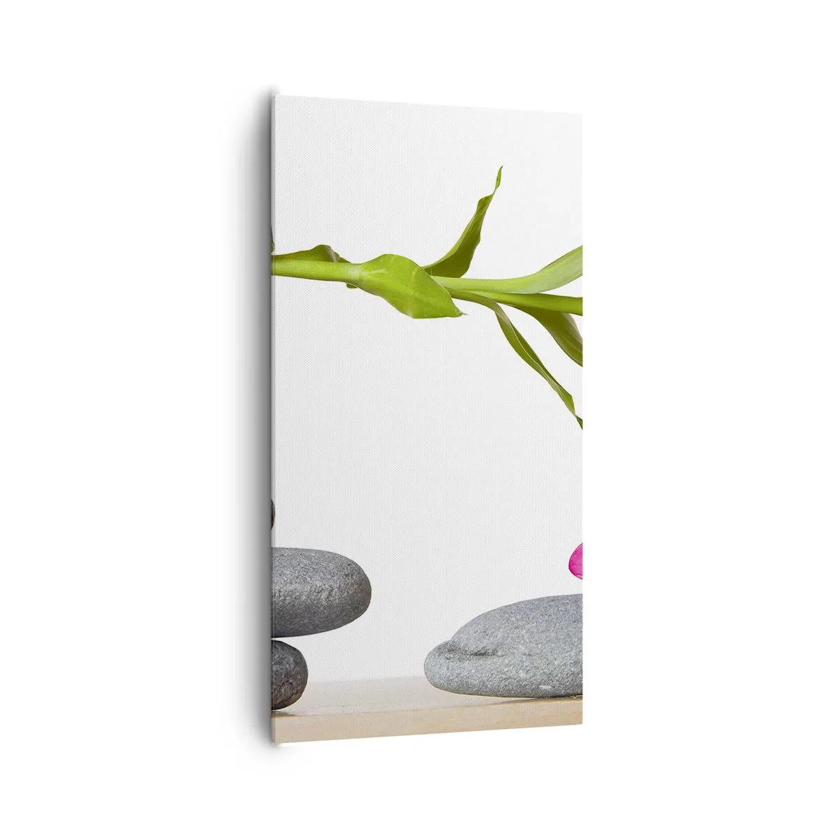 Obraz na płótnie - Kolory życia i trwania - 65x120 cm