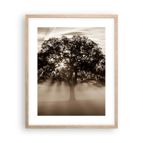Plakat w ramie jasny dąb - Drzewo wiadomości samego dobrego - 40x50 cm