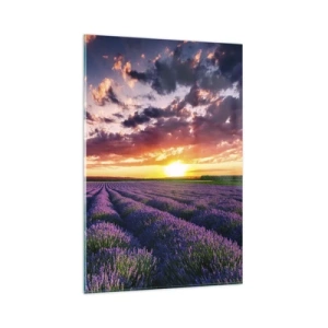 Obraz na szkle - Pole lawendy o zachodzie słońca z kolorowym niebem - 80x120cm - Lawendowy świat - Nowoczesna dekoracja ścienna do salonu i sypialni ARTTOR