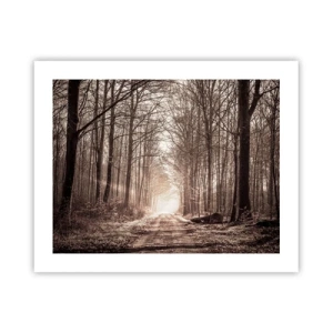 Plakat - Leśna katedra - 50x40 cm