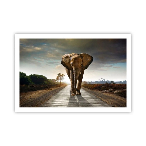 Plakat - I wcale nie w składzie porcelany - 91x61 cm