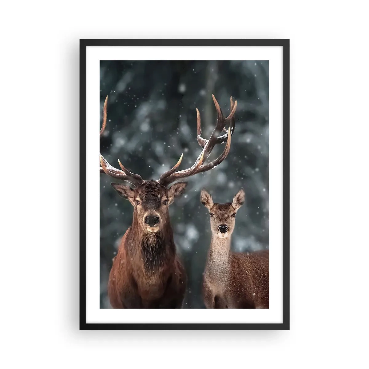 Plakat w czarnej ramie - Para jeleni na tle zimowego lasu - 50x70cm - Pan lasu z małżonką - Nowoczesna dekoracja ścienna do salonu i sypialni ARTTOR