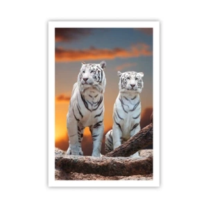 Plakat - Zupełnie jak w Narni - 61x91 cm