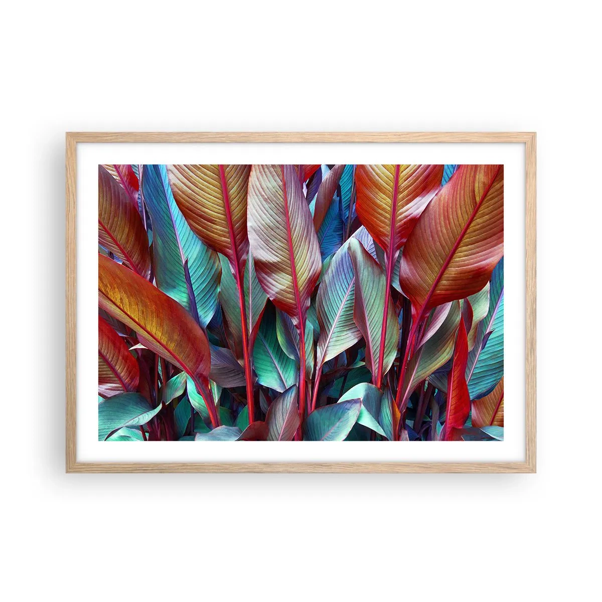 Plakat w ramie jasny dąb - Kolorowy gąszcz - 70x50 cm