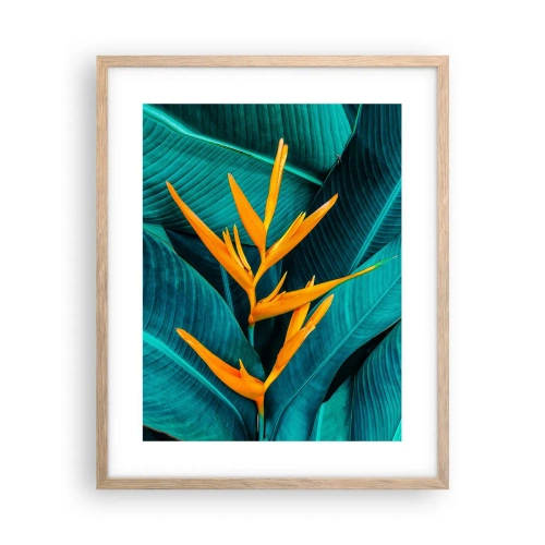 Plakat w ramie jasny dąb - Kwiat Edenu - 40x50 cm