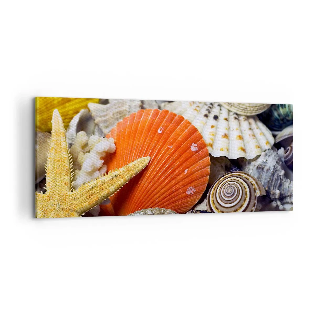 Obraz na płótnie - Skarby oceanu - 100x40 cm