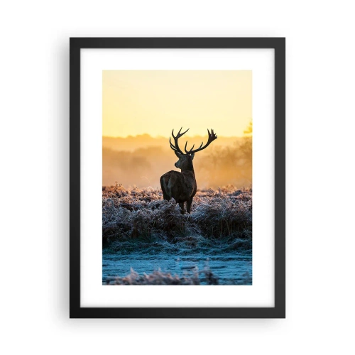 Plakat w czarnej ramie - Koronowany na swoich włościach - 30x40 cm