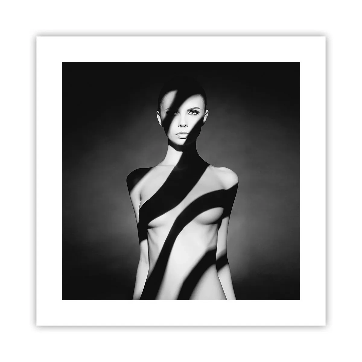 Plakat - W blasku i w cieniu - 40x40 cm