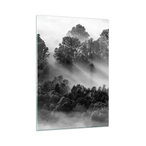 Obraz na szkle - Mglisty las w promieniach słońca w czerni i bieli - 50x70cm - Wstający ze snu - Nowoczesna dekoracja ścienna do salonu, kuchni i sypialni ARTTOR