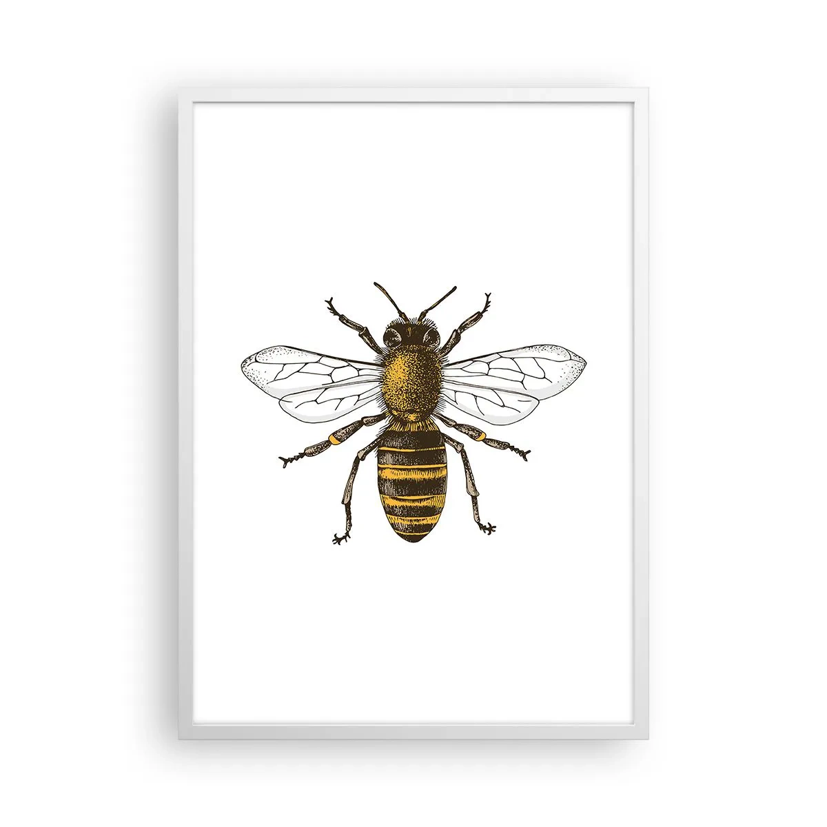 Plakat w białej ramie - Piękna i dobra - 50x70 cm