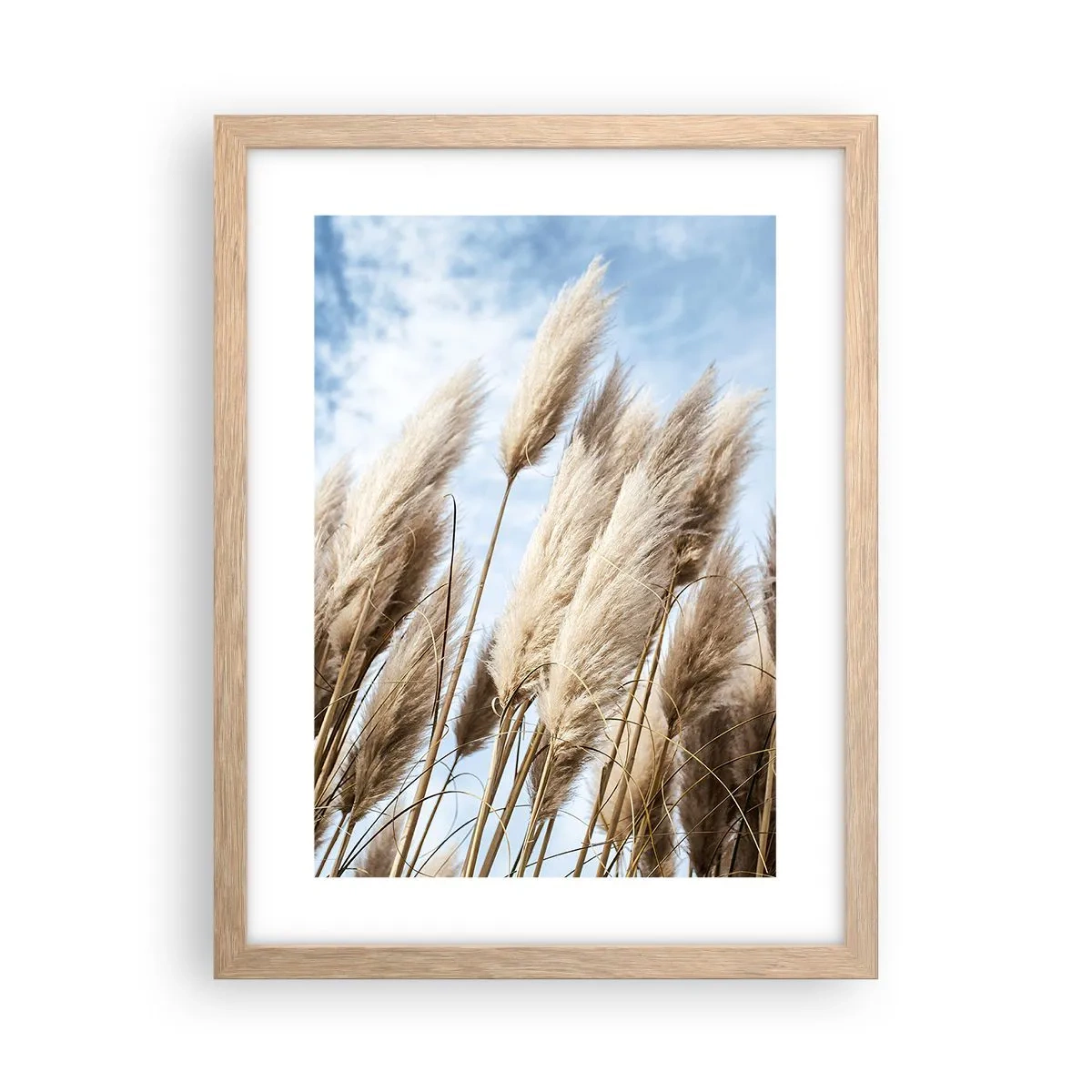 Plakat w ramie jasny dąb - Słoneczna i wietrzna pieszczota - 30x40 cm