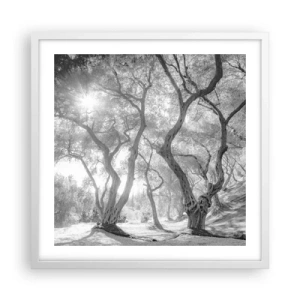 Plakat w białej ramie - W oliwnym gaju - 50x50 cm