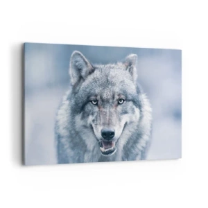 Obraz na płótnie - Wilk z intensywnym spojrzeniem w zimowym krajobrazie - 120x80cm - Podejmiesz wyzwanie? - Nowoczesna dekoracja ścienna do salonu, kuchni i sypialni ARTTOR