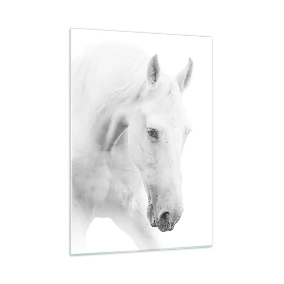 Obraz na szkle - Dwa białe konie zwrócone ku sobie na jasnym tle - 50x70cm - Czy to jest przyjaźń…? - Nowoczesna dekoracja ścienna do salonu, kuchni i sypialni ARTTOR