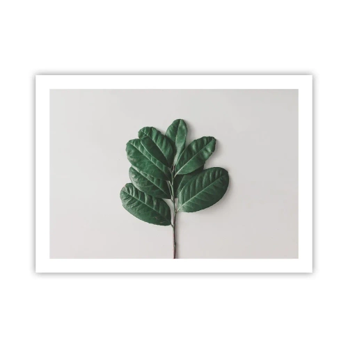 Plakat - Rysunek samej natury - 70x50 cm