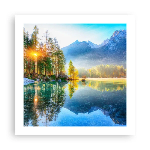 Plakat - Majestat i słodycz - 50x50 cm