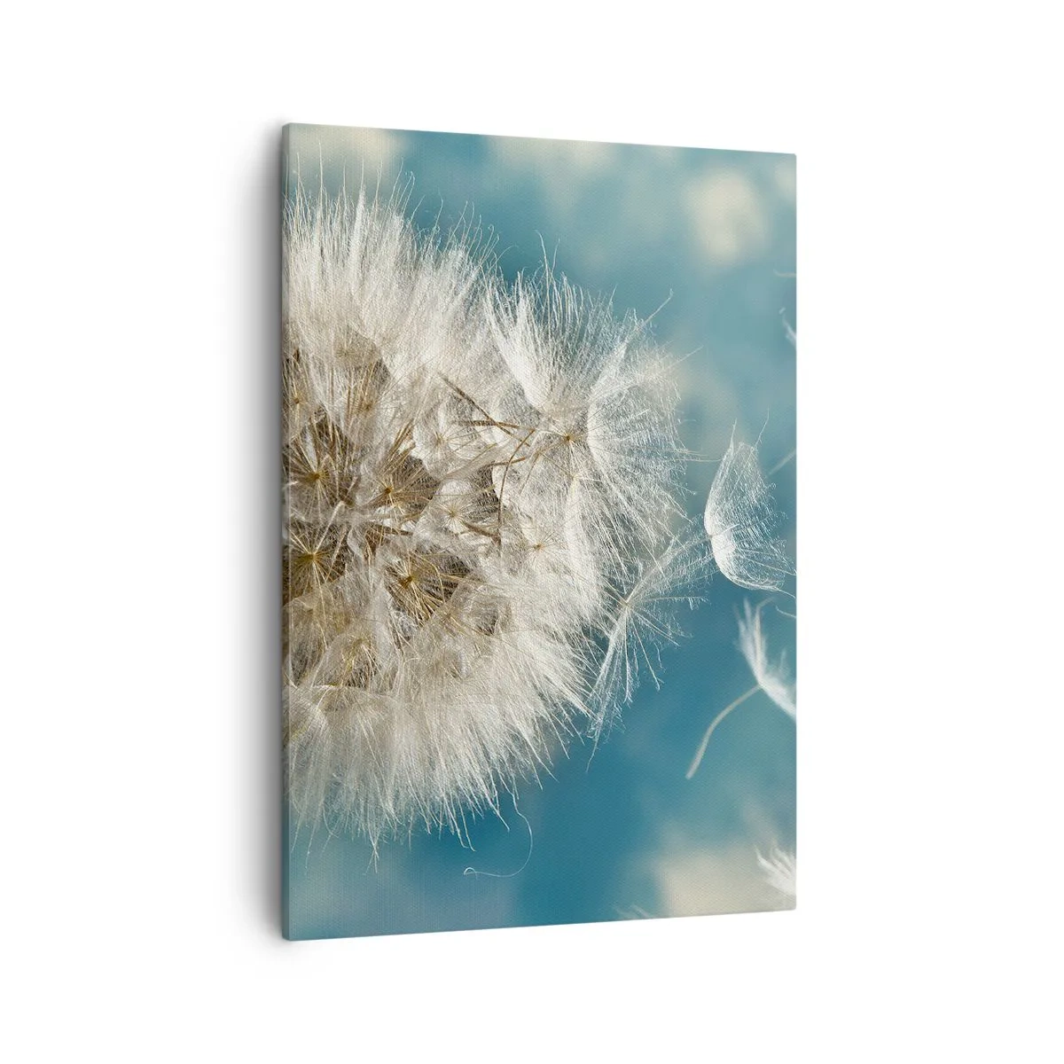 Obraz na płótnie - Makro zdjęcie dmuchawca na tle nieba - 50x70cm - Oddech anioła - Nowoczesna dekoracja ścienna do salonu, kuchni i sypialni ARTTOR