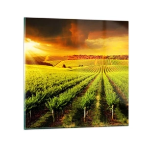 Obraz na szkle - Pod australijskim słońcem - 70x70 cm