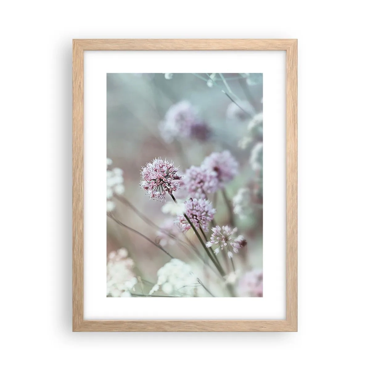 Plakat w ramie jasny dąb - Słodkie filigrany ziół - 30x40 cm