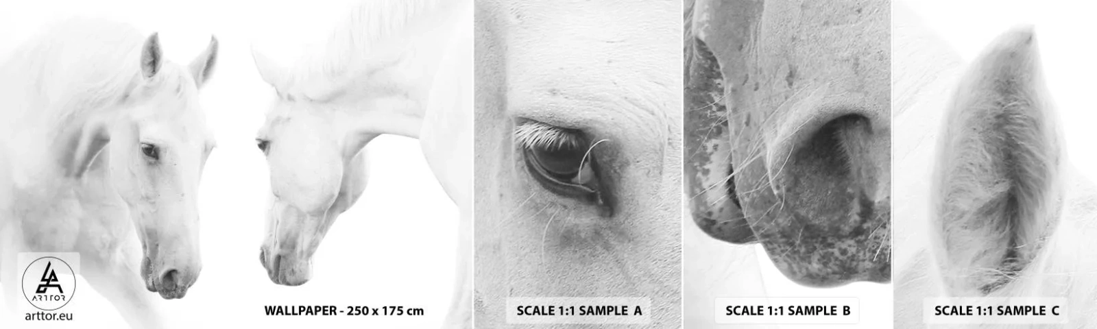 Fototapeta Próbka Samoprzylepna Deluxe Sticker - Czy to jest przyjaźń…? - Konie, Natura, Zwierzęta - 100x30 cm