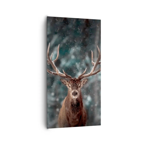 Obraz na płótnie - Król lasu ukoronowany - 65x120 cm