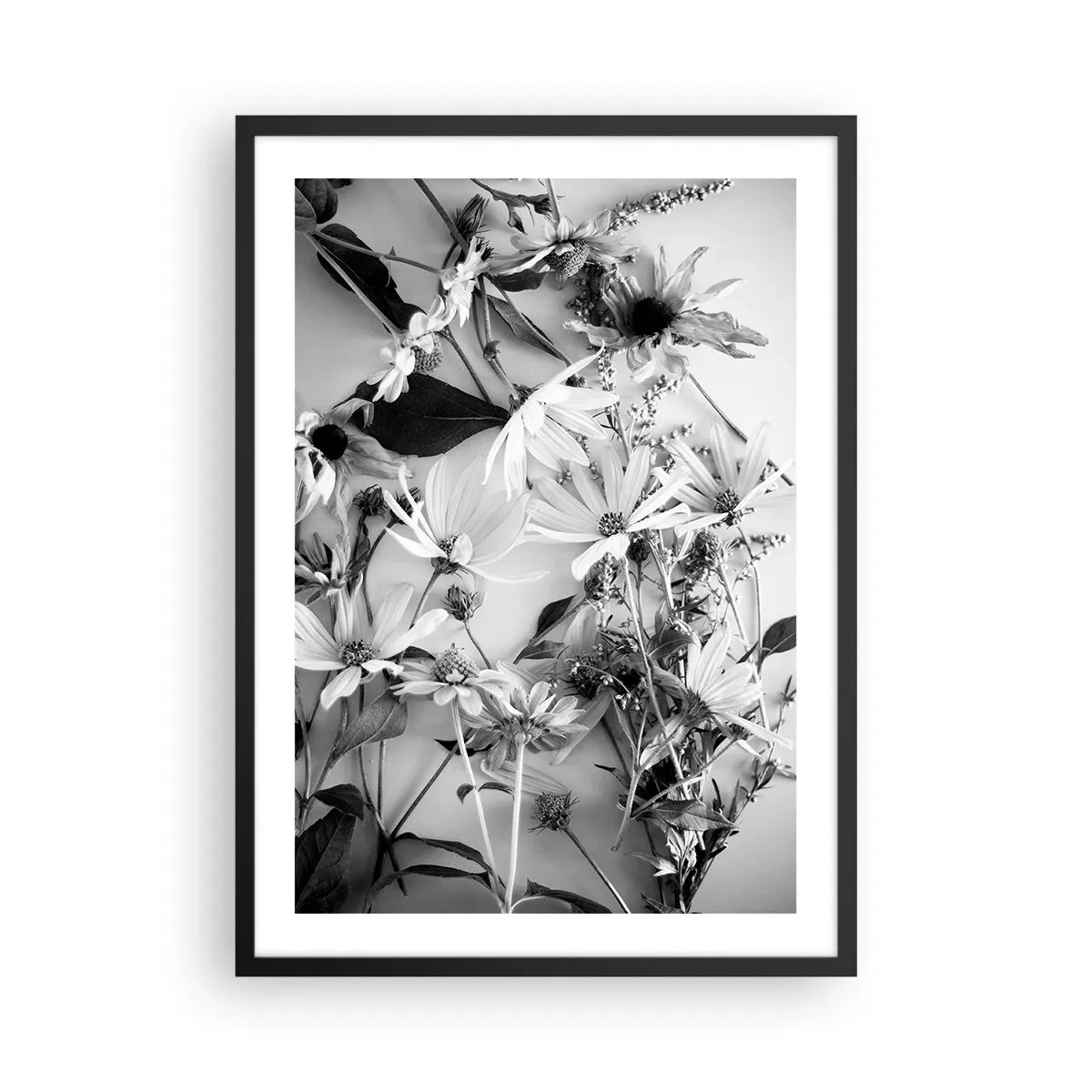 Plakat w czarnej ramie - Czarno-białe kwiaty ułożone w artystycznym układzie - 50x70cm - Nie-bukiet kwiatów - Nowoczesna dekoracja ścienna do salonu i sypialni ARTTOR