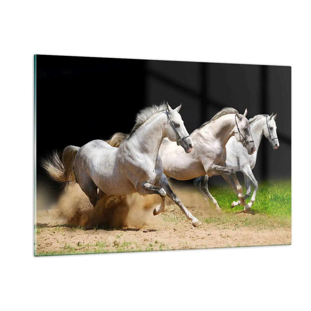 Obraz na szkle - Trzy białe konie galopujące po piaszczystym podłożu - 120x80cm - Trzy Gracje - Nowoczesna dekoracja ścienna do salonu, kuchni i sypialni ARTTOR