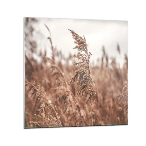 Obraz na szkle - Na polach już jesień - 30x30 cm